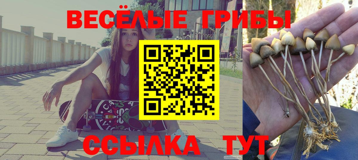 Псилоцибиновые грибы Magic Shrooms Ипатово