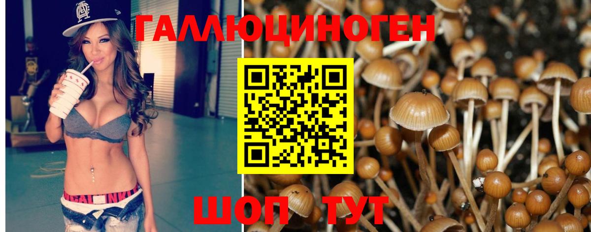 Ипатово  Галлюциногенные грибы GOLDEN TEACHER  Вход с VPN 